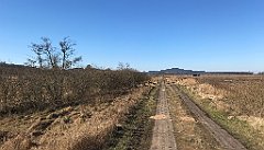 136_iP_220313_IMG_4556