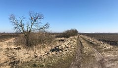 142_iP_220313_IMG_4563