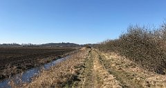 145_iP_220313_IMG_4564