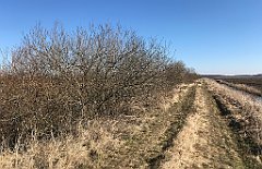 147_iP_220313_IMG_4566