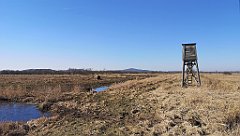 177_p20_IMG_20220313_104202