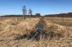 200_iP_220313_IMG_4582