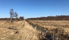 202_iP_220313_IMG_4586