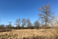 330_iP_220313_IMG_4621