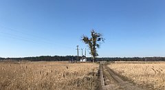 405_iP_220313_IMG_4643