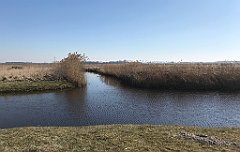 414_iP_220313_IMG_4645