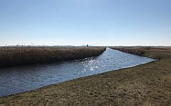 416_iP_220313_IMG_4648