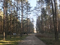 503_iP_220313_IMG_4682