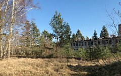 025_iP_220320_IMG_4707