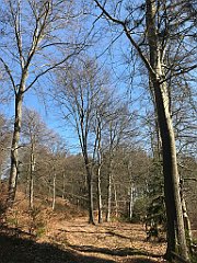 064_iP_220320_IMG_4728