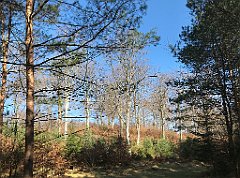 068_iP_220320_IMG_4731