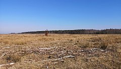 214_p20_IMG_20220320_125615