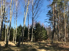 221_iP_220320_IMG_4762