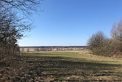 257_iP_220320_IMG_4769