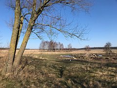 306_iP_220320_IMG_4785