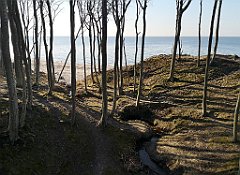 390_p20_IMG_20220320_154348