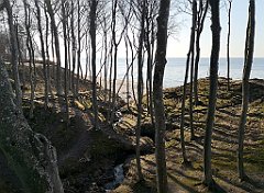 391_p20_IMG_20220320_154435