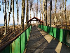 392_p20_IMG_20220320_154356