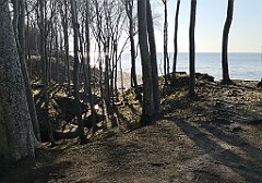 397_p20_IMG_20220320_154516