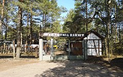 240_p20_IMG_20220325_111439