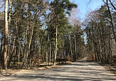 246_iP_220325_IMG_4848