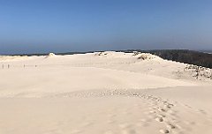 331_iP_220325_IMG_4859