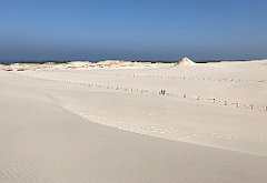 389_iP_220325_IMG_4900