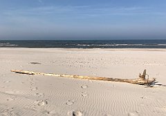 497_iP_220325_IMG_4929