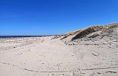 242_p20_IMG_20220412_120649