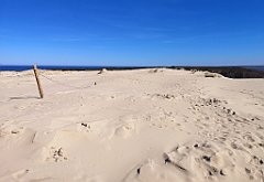 333_p20_IMG_20220412_123701