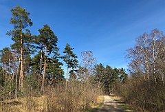 009_iP_220416_IMG_5070