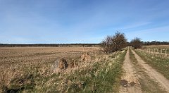 065_iP_220416_IMG_5104