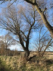 128_iP_220416_IMG_5120