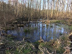 145_iP_220416_IMG_5127