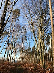 167_iP_220416_IMG_5139