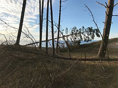 172_iP_220416_IMG_5144