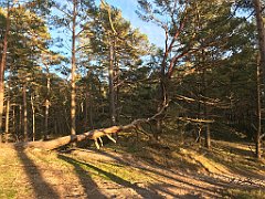 186_iP_220416_IMG_5150