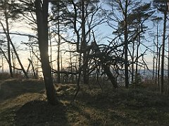 190_iP_220416_IMG_5156