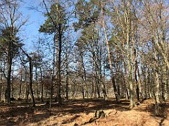 029_iP_220421_IMG_5170