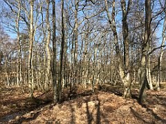 038_iP_220421_IMG_5176