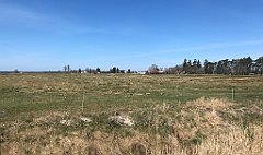 113_iP_220421_IMG_5192