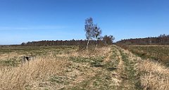 142_iP_220421_IMG_5199