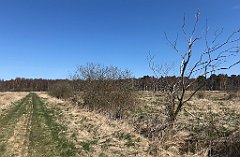 152_iP_220421_IMG_5210