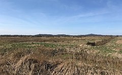 153_iP_220421_IMG_5212