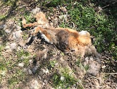 158_iP_220421_IMG_5213