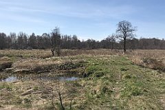 169_iP_220421_IMG_5223