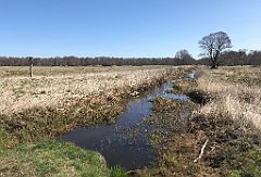 171_iP_220421_IMG_5225