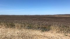 194_iP_220421_IMG_5234