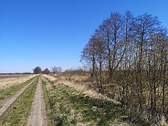 213_p20_IMG_20220421_123426