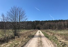 251_iP_220421_IMG_5251